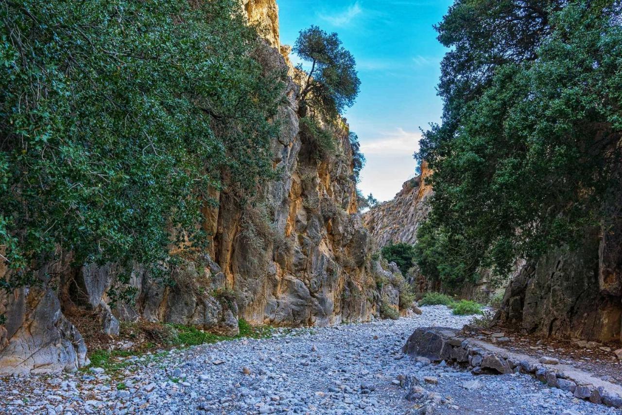 Traditional Villa Askyfou Karés Dış mekan fotoğraf